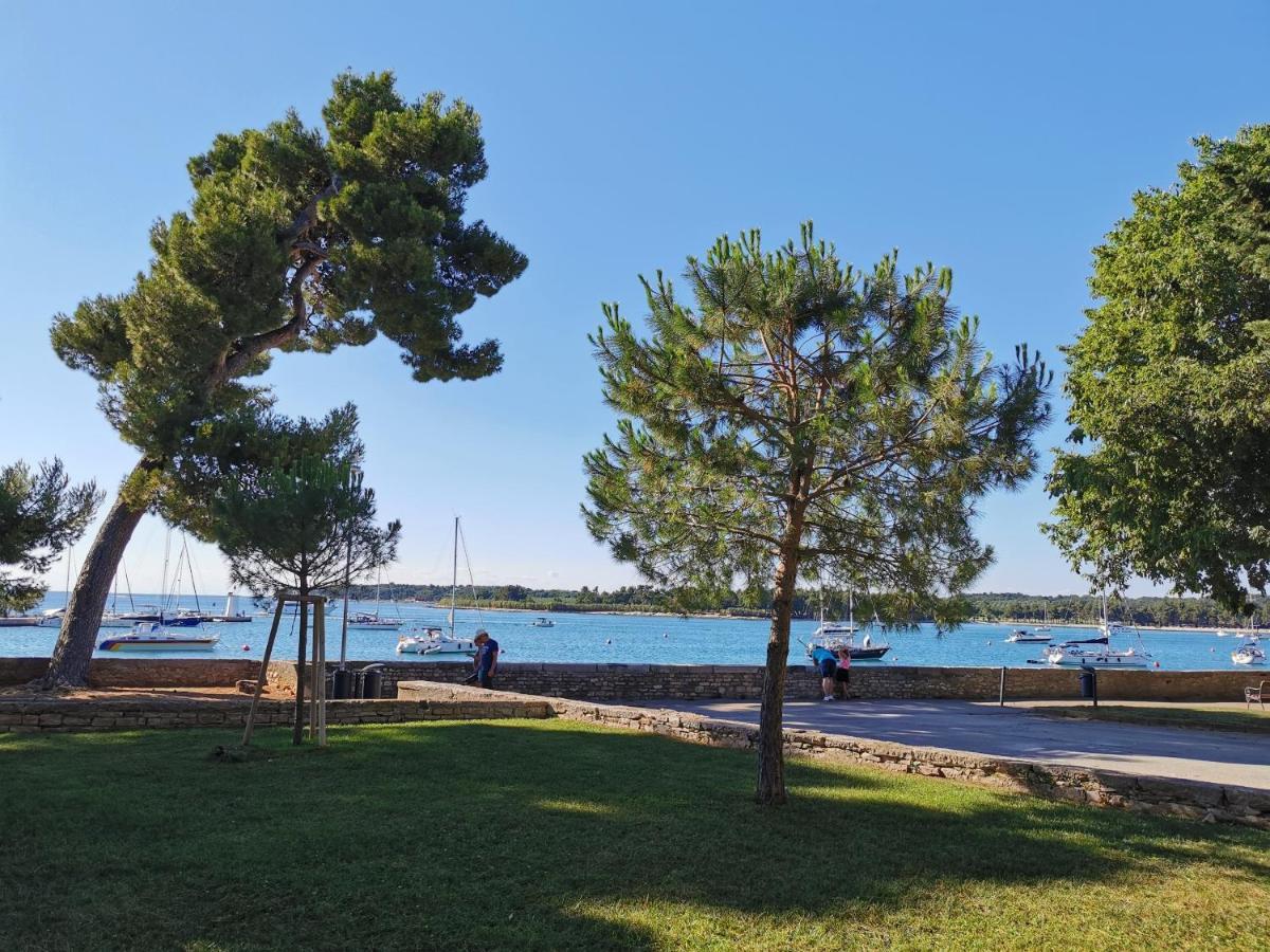 Ivan B&B, 5 Star Superior Room, Near The See And Park Novigrad Istria Exteriér fotografie