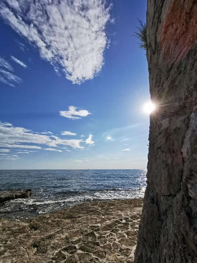 Ivan B&B, 5 Star Superior Room, Near The See And Park Novigrad Istria Exteriér fotografie